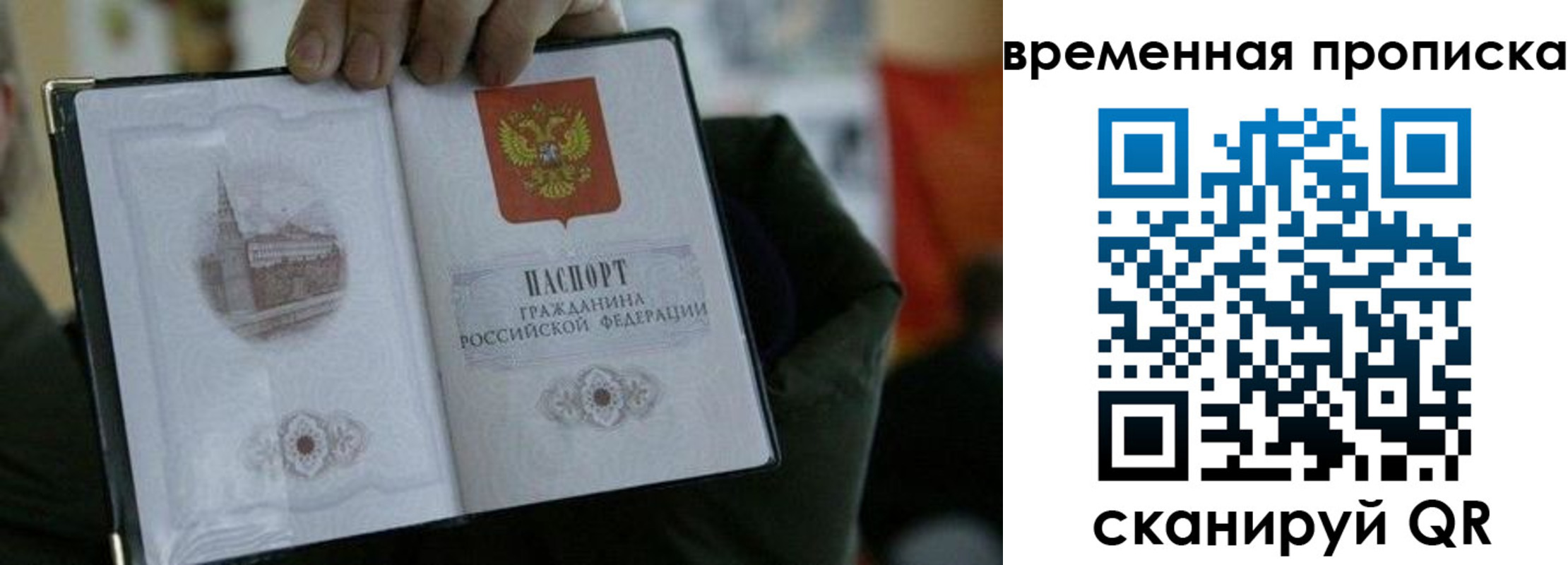 найти адрес прописки в Жукове